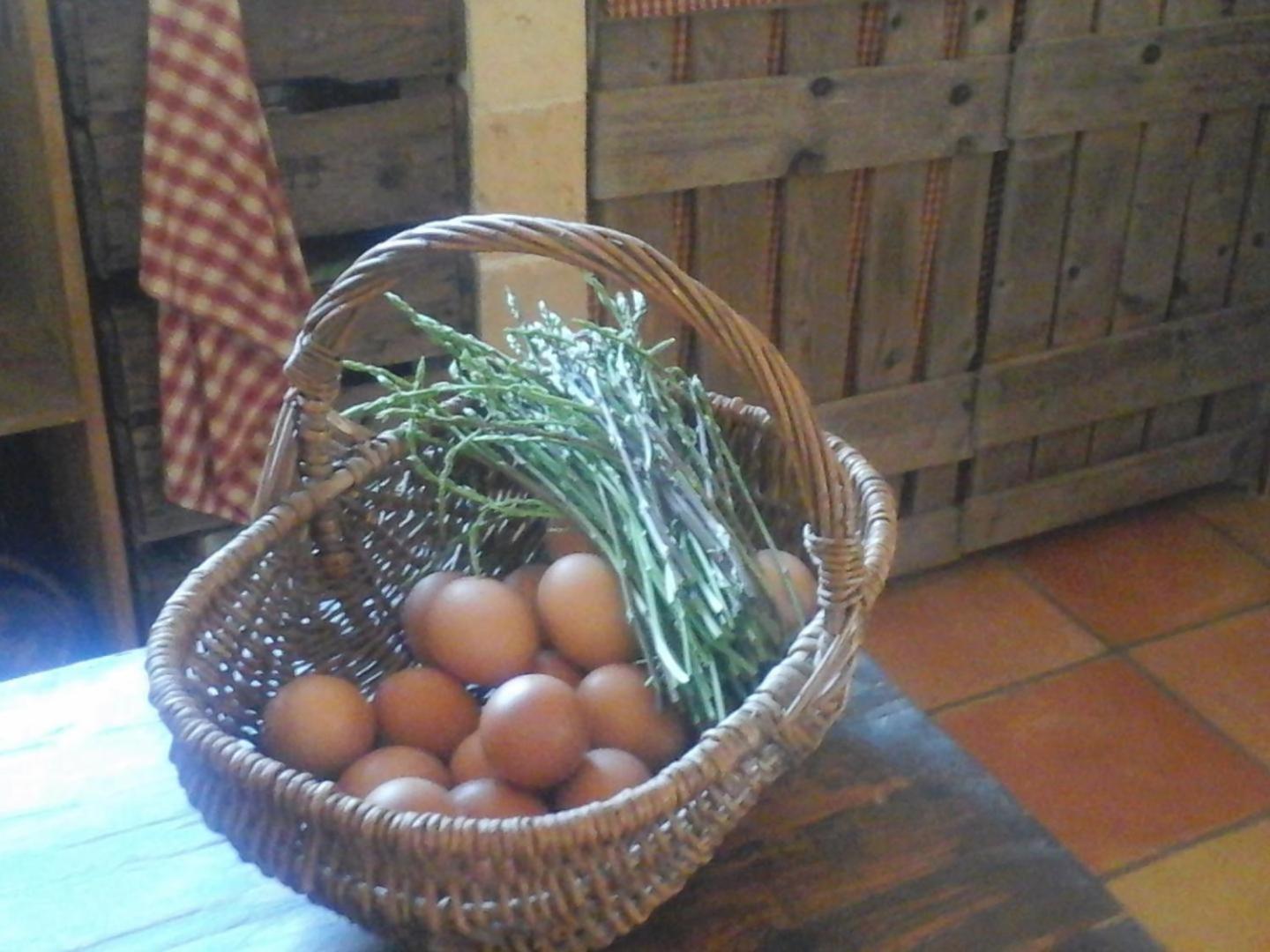 Carcès La Maison De Campagne المظهر الخارجي الصورة